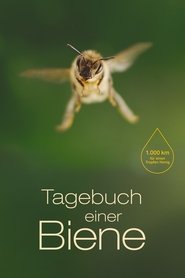 poster Diary of a Bee
