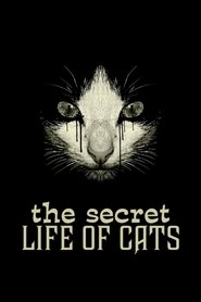 poster The Secret Life of Cats