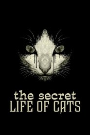 The Secret Life of Cats 2014 123movies