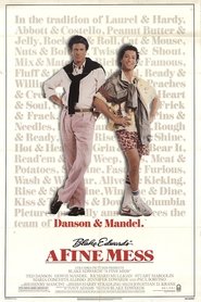 poster A Fine Mess