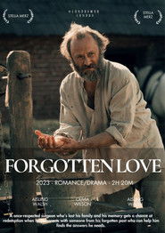 Poster of Forgotten Love image size 904x1280