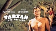 Backdrop of Tarzan the Ape Man image size 1920x1080