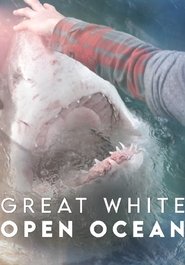 poster Great White Open Ocean