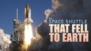 Backdrop of The Space Shuttle That Fell to Earth image size 3600x2025