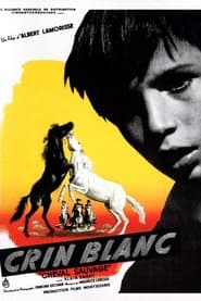 Film Crin blanc: Le cheval sauvage en streaming