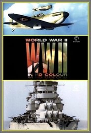 Poster of World War II in Colour image size 680x1000
