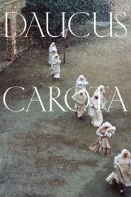 poster Daucus Carota