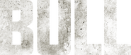 Logo of Bull image size 2995x1269