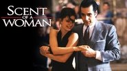 Scent of a Woman Backdrop of Scent of a Woman image size 1280x720