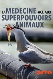 Wild Medicine - The Superpowers of Animals