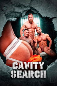 Cavity Search