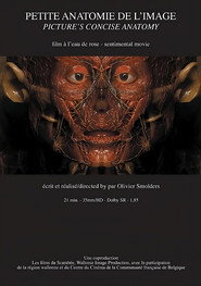 Petite anatomie de l'image poster