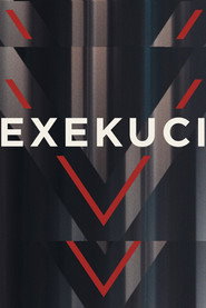 V exekuci poster
