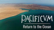 Backdrop of Pacificum: Return to the Ocean image size 1280x720