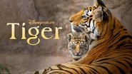 Backdrop of Tiger image size 3840x2160