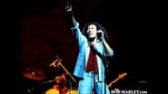 Bob Marley and the Wailers - Live at the Rainbow wallpaper 