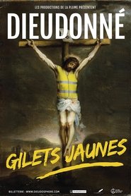 poster Dieudonné - Gilets Jaunes