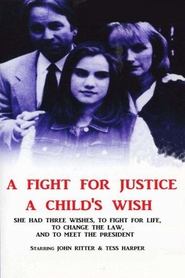 poster A Child's Wish