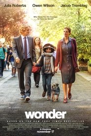 Poster of Wonder image size 2000x3000