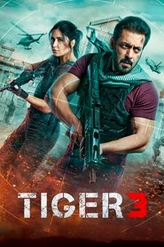 Tiger 3 Poster