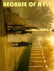 poster Because of a Fly