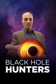 poster Black Hole Hunters