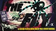 Backdrop of The Fly image size 3200x1800