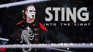 Sting: Into the Light wallpaper 