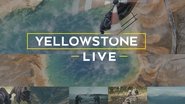 Backdrop of Yellowstone Live image size 1920x1080