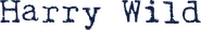 Logo of Harry Wild image size 4220x637