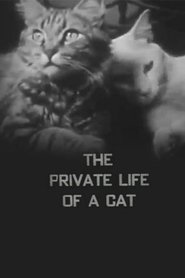 poster The Private Life of a Cat