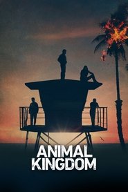 Poster of Animal Kingdom image size 1000x1500