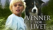 Venner for livet wallpaper 