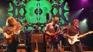 The Allman brothers band : 40 wallpaper 