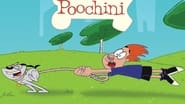 Poochini  