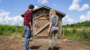 The Shed wallpaper 