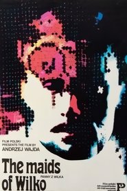 poster The Maids of Wilko