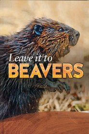 poster Leave it to Beavers