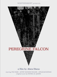 Peregrine Falcon