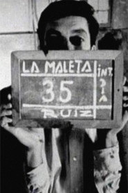 The Suitcase