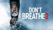 Don't Breathe 2 wallpaper 