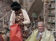 Sanford and Son season 5 episode 22