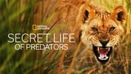 Secret Life of Predators  