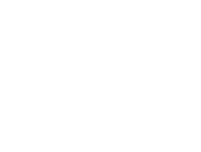 Logo of The Suicide Squad image size 1030x782