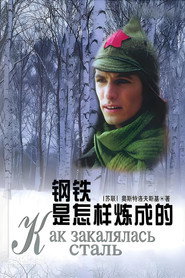 钢铁是怎样练成的