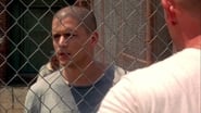 Prison Break season 3 episode 5