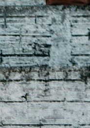 Das Cinzas às Cinzas