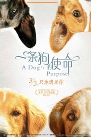 為了與你相遇(2017)電影HK。在線觀看完整版《A Dog's Purpose.HD》 完整版小鴨—科幻, 动作 1080p