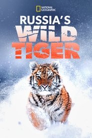 Russia's Wild Tiger Poster