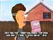 Beavis and Butt-head season 2 episode 9